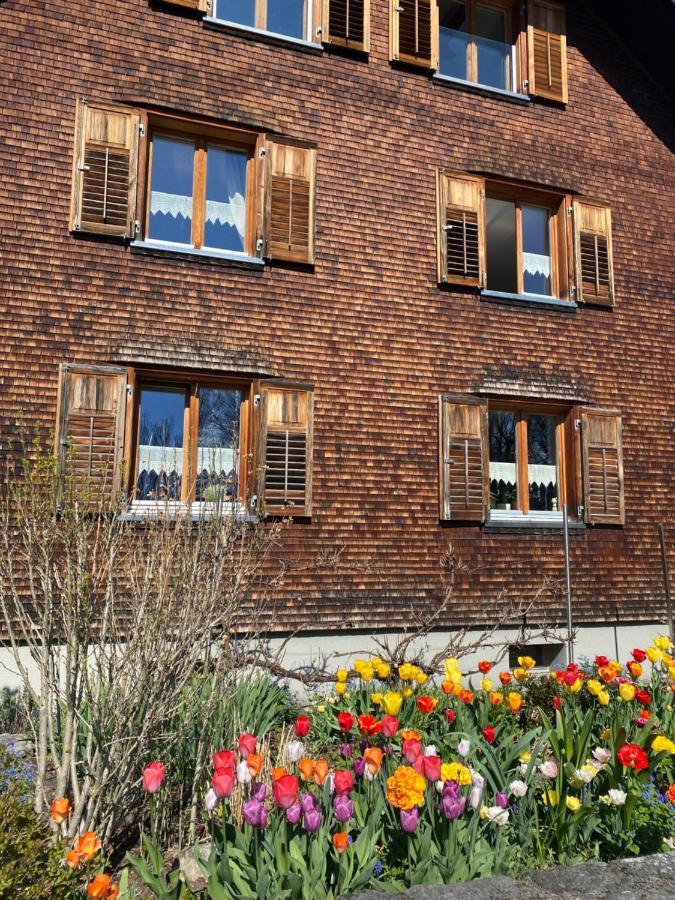 Mama Kaethe - Apartments Nenzing Esterno foto